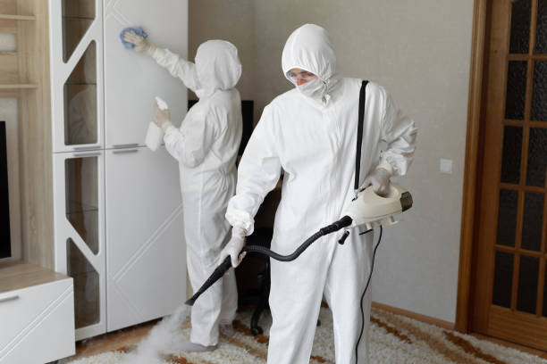 24/7 Emergency Odor Removal experts in West Roxbury, MA